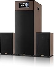 SAENYO Mini Vehicle Audio System with Bluetooth, FM Radio, USB Port, AUX Input for Auto Rickshaw, Bus, Tempo